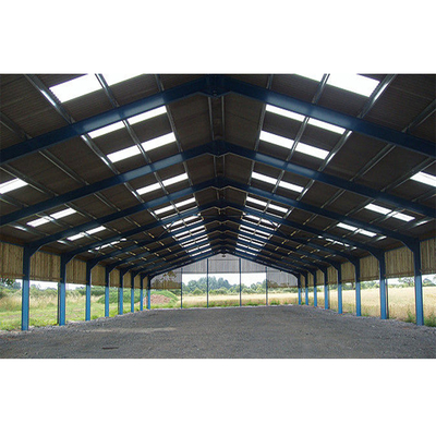 Customized Prefabricated Steel Structure Building Construction Easily Disassembled