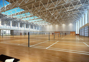 Prefabricated Modern Badminton Hall Steel Frame Structure Sport Hall
